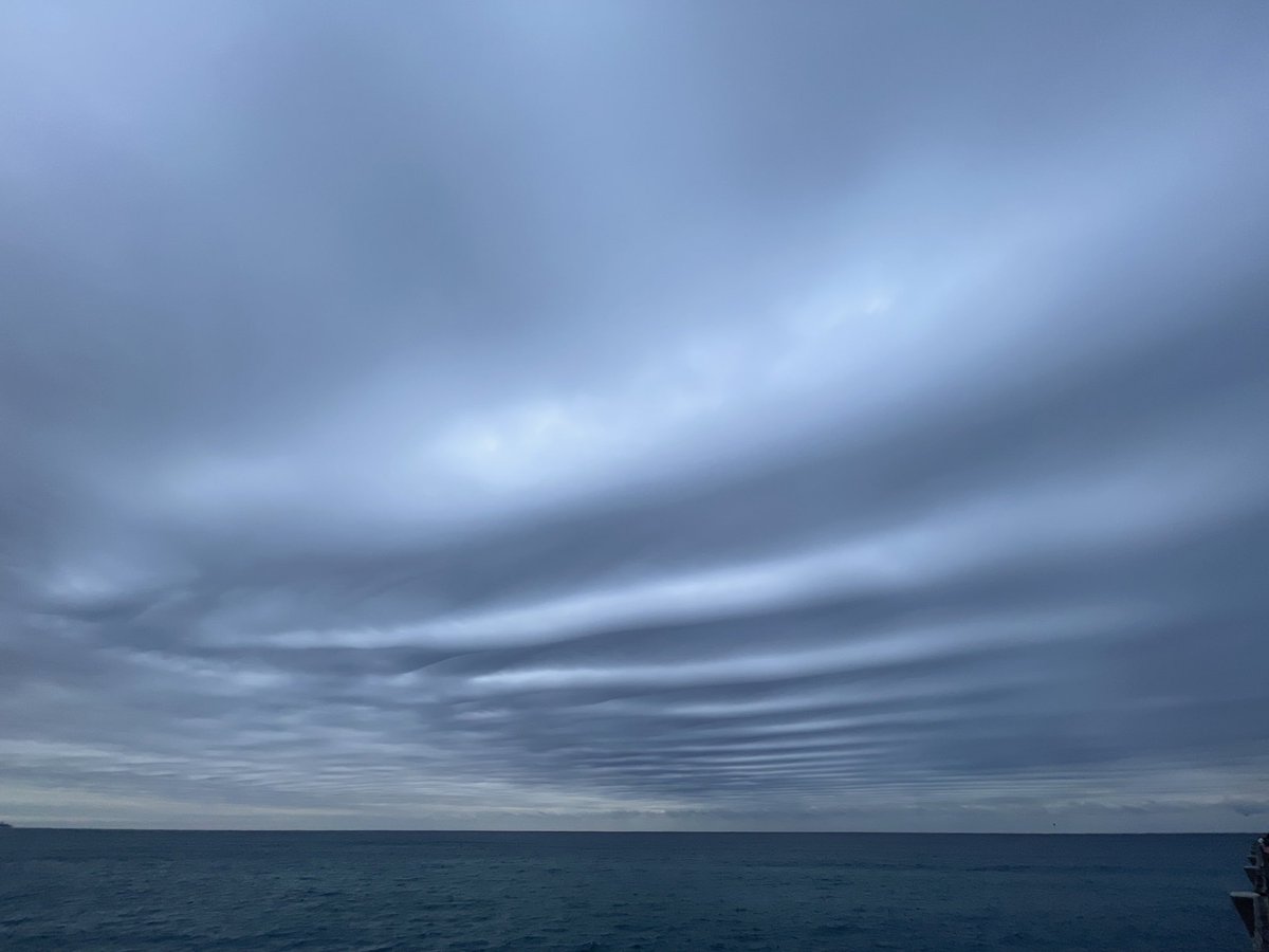 CrossleyIDGuide's tweet image. Even on Lake Wort Beach pier it is cold this morning. The often spectacular sunrise is a panorama of wild cloud formations. A great way to start the day. Merry Christmas to everyone.