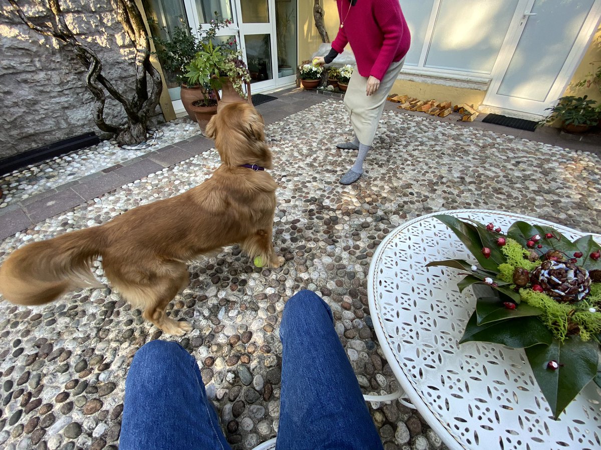 th_s4m0ht's tweet image. Merry Christmas 🎄 💫 !!

Feeling blessed and ready to feast 😋