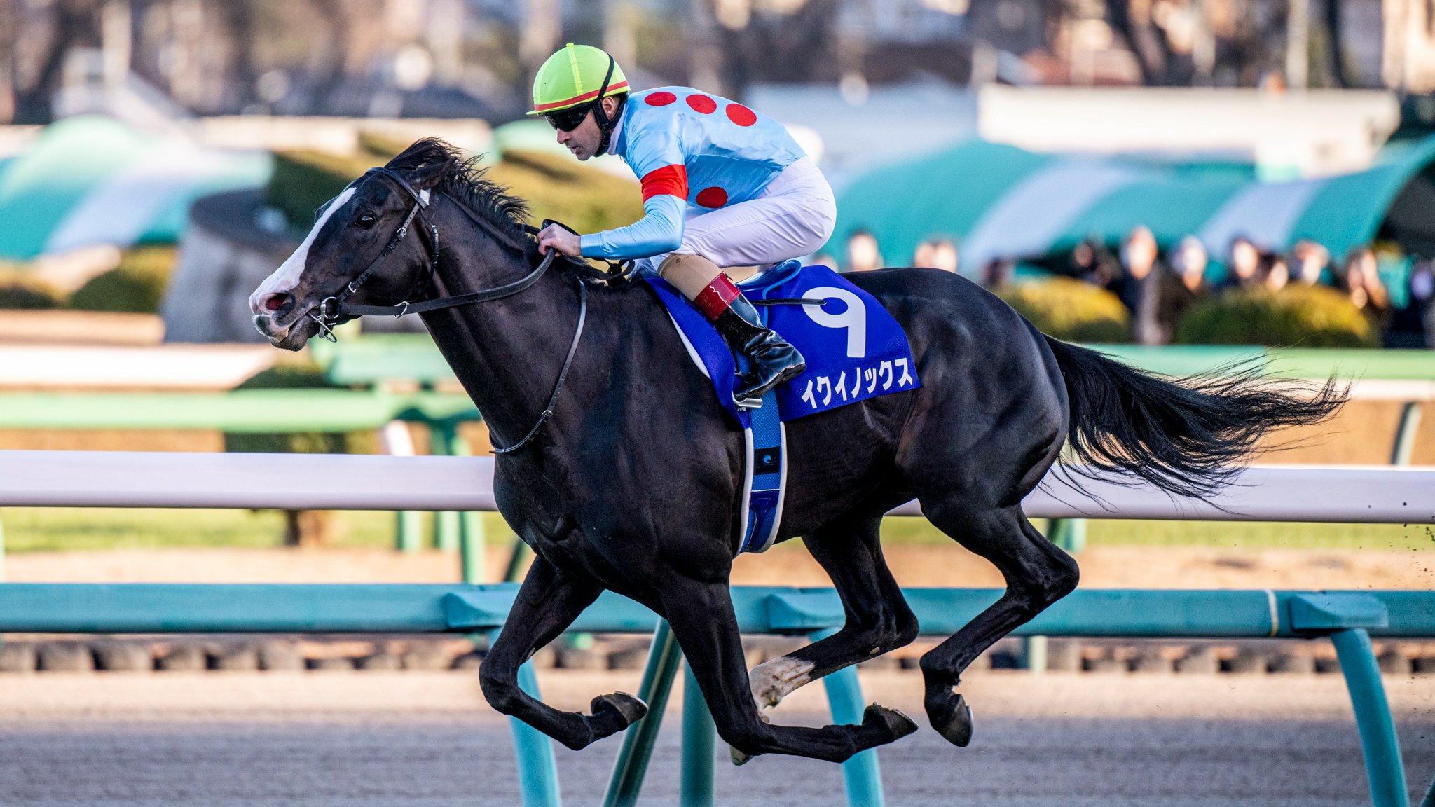 イクイノックス イクイノックス (Equinox) | 競走馬データ - netkeiba
