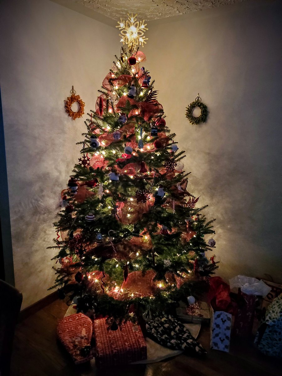 Happy holidays to friends and family! Whether you celebrate Christmas, Hanukkah, Yule, Saturnalia, or the Solstice, I hope you all have a pleasant, restful day of good food and good cheer.

#christmas