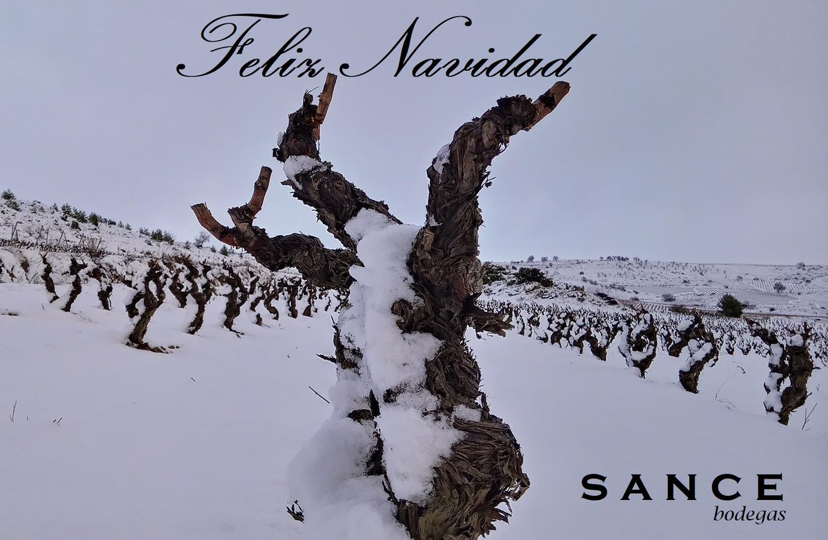 ¡Feliz Navidad!

#rioja
#riojawine
#riojaalavesa
#vinodemunicipio
#AUNECIDO
#maceracioncarbonica
#RABICANDIL
#produccionintegrada