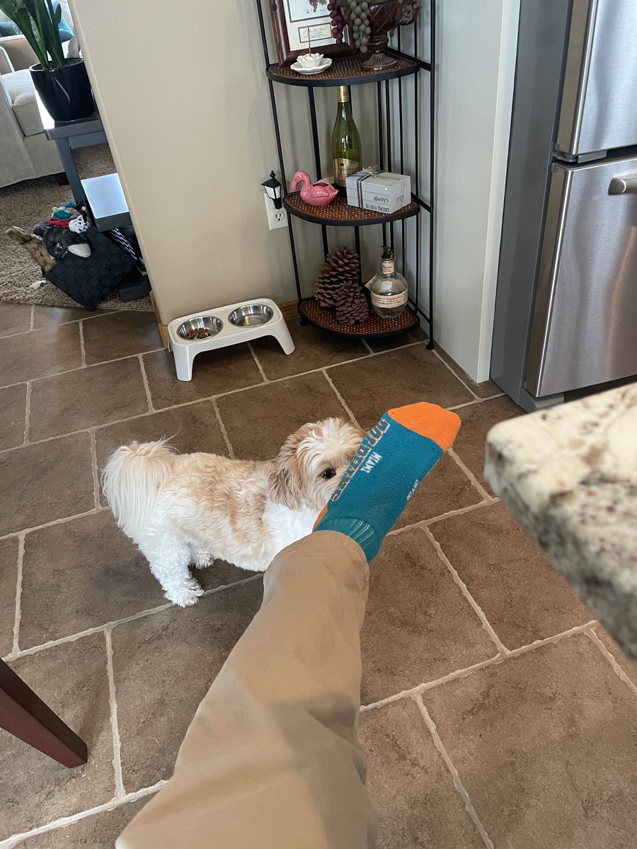 Patrick Azzara tweet media