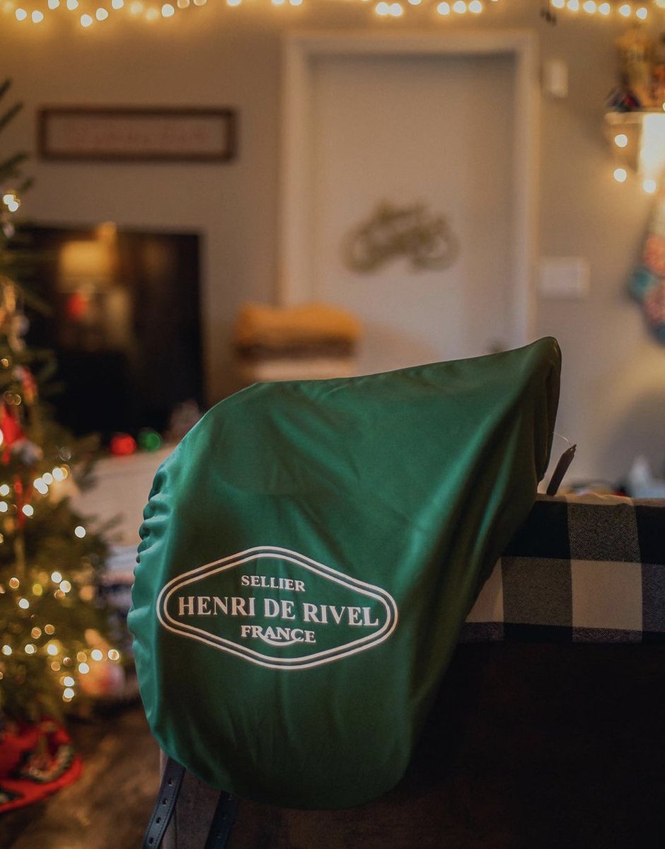 Merry Christmas to you and your family🎄

📸 @ajollyrose