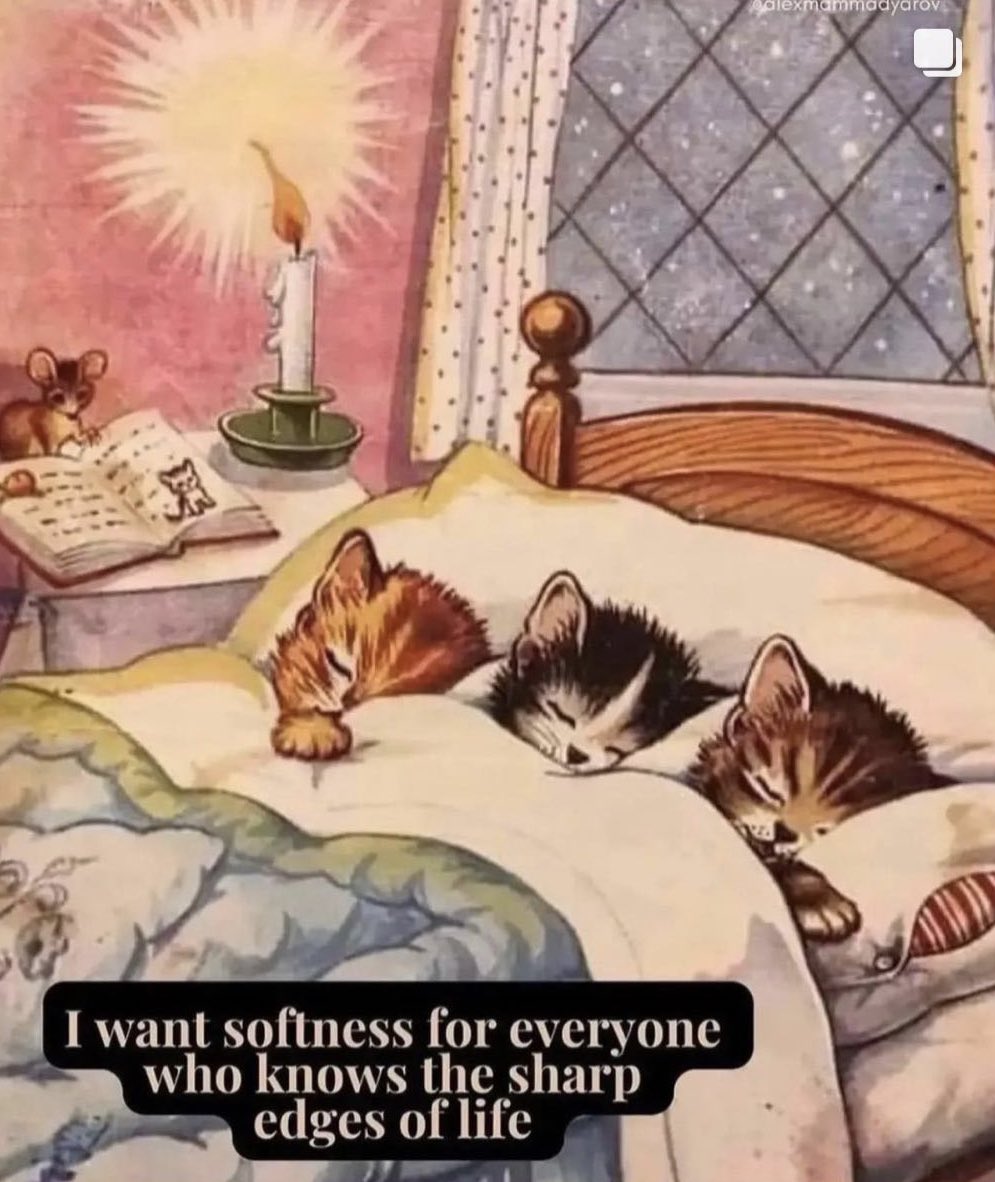 Mel ✨ (@m0chamel) on Twitter photo 