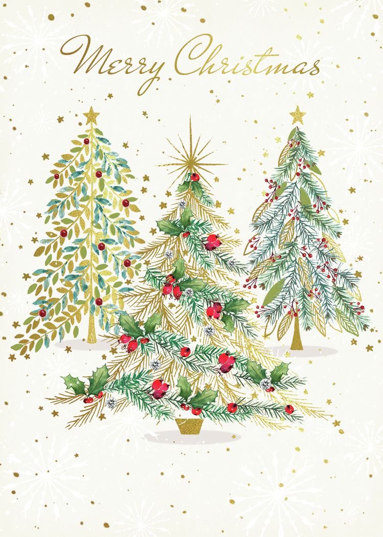 MrsPriceLeads's tweet photo. Merry Christmas!! https://t.co/SRJzHtZSMn