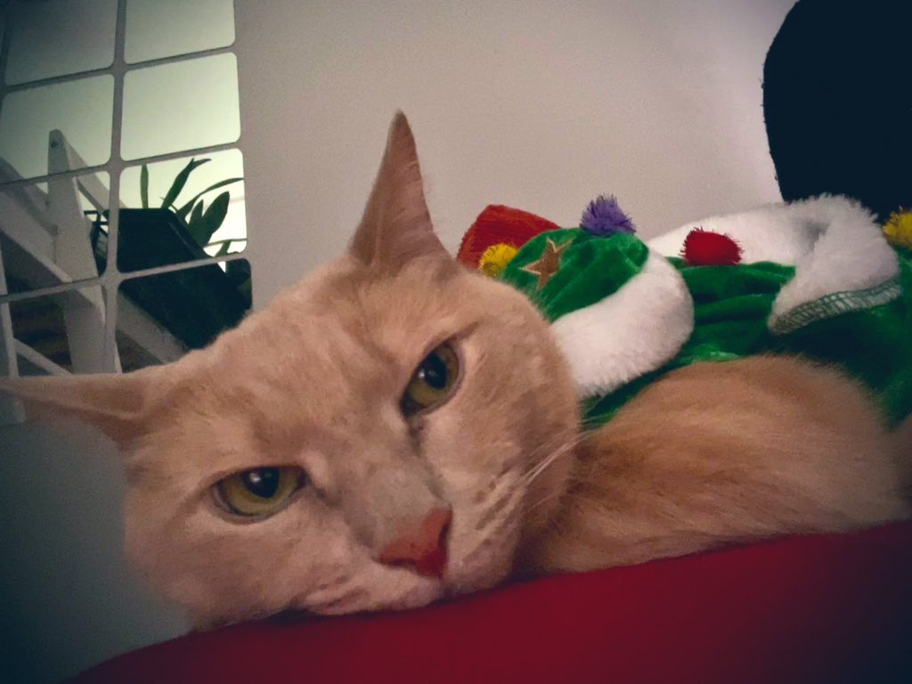 FelipeLopes_BR's tweet photo. Merry Christmas! ❤️🎄🎁🎅🏼❤️ https://t.co/It2Bt8zVUj