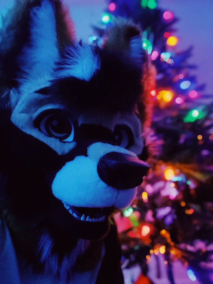 Cloudian0's tweet photo. MERRI CRIMIS!!! 🎄💙
🪡 @FurryMachine
🏷️ #furry #fursuit #furrymachine https://t.co/U7tAAYScTm
