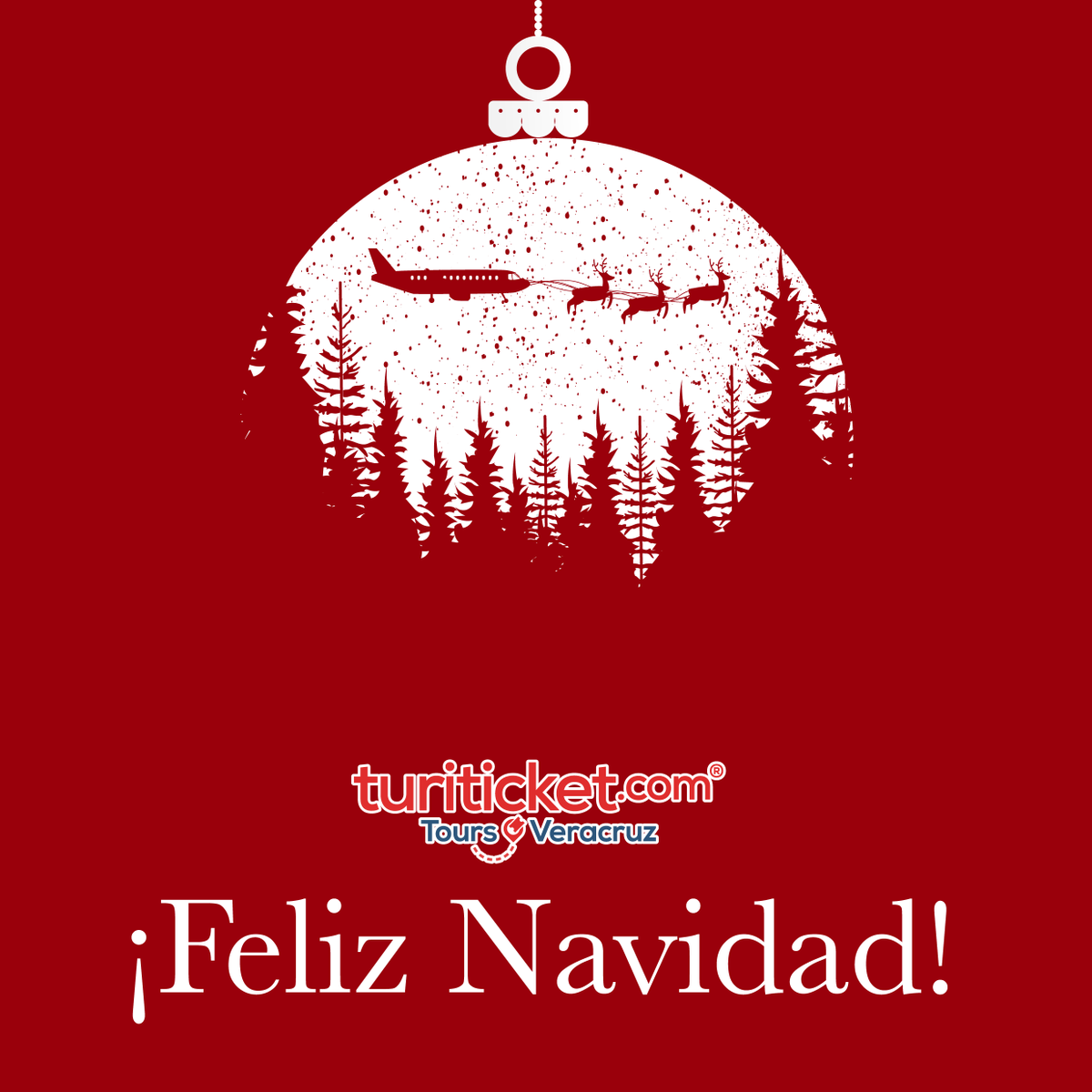 YoAmoVeracruz's tweet photo. De parte de Tours y Tickets les deseamos a todos una muy Feliz Navidad 🎄🥳
Sigamos disfrutando juntos de lo mejor de Veracruz 😍

#turismo #navidad #merrychristmas #Diciembre #travel https://t.co/bTJx4fo5dg