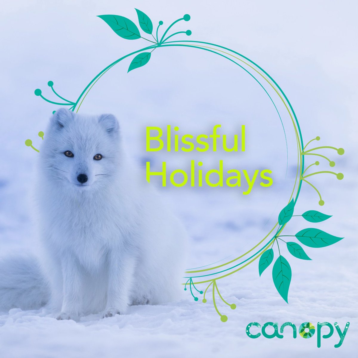 Canopyplanet's tweet photo. With full hearts, we’re wishing our community of forest-lovers a blissful and restorative holiday season. Thank you for the many ways you support Canopy — you make it possible to make a difference!
https://t.co/8U4HNVzrX9 | #NextGenSolutions #Pack4Good #CanopyStyle https://t.co/KGeRfiK25z