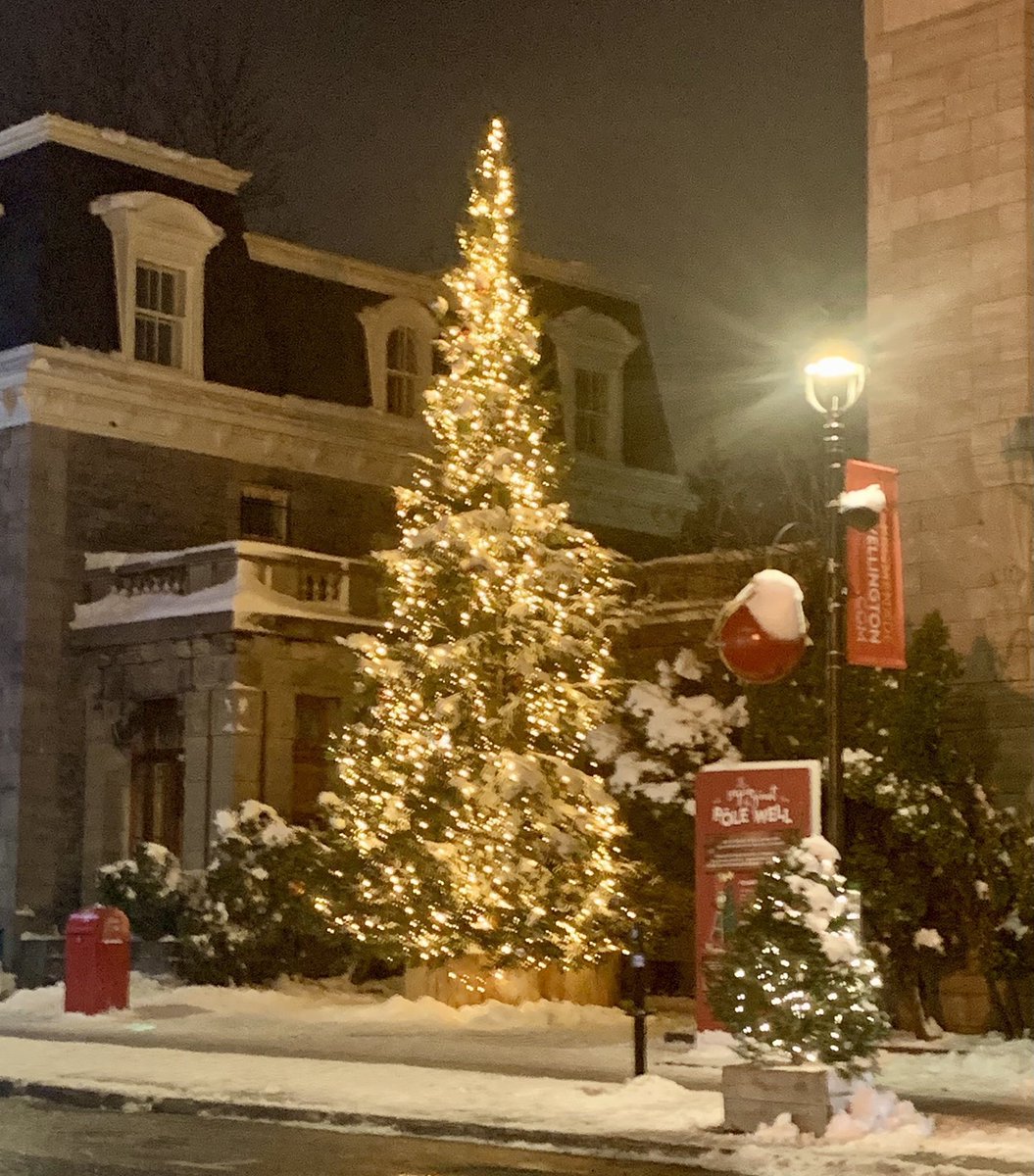 Merry Christmas! May the joy and peace of the holiday season be with you all 🤍⛄️