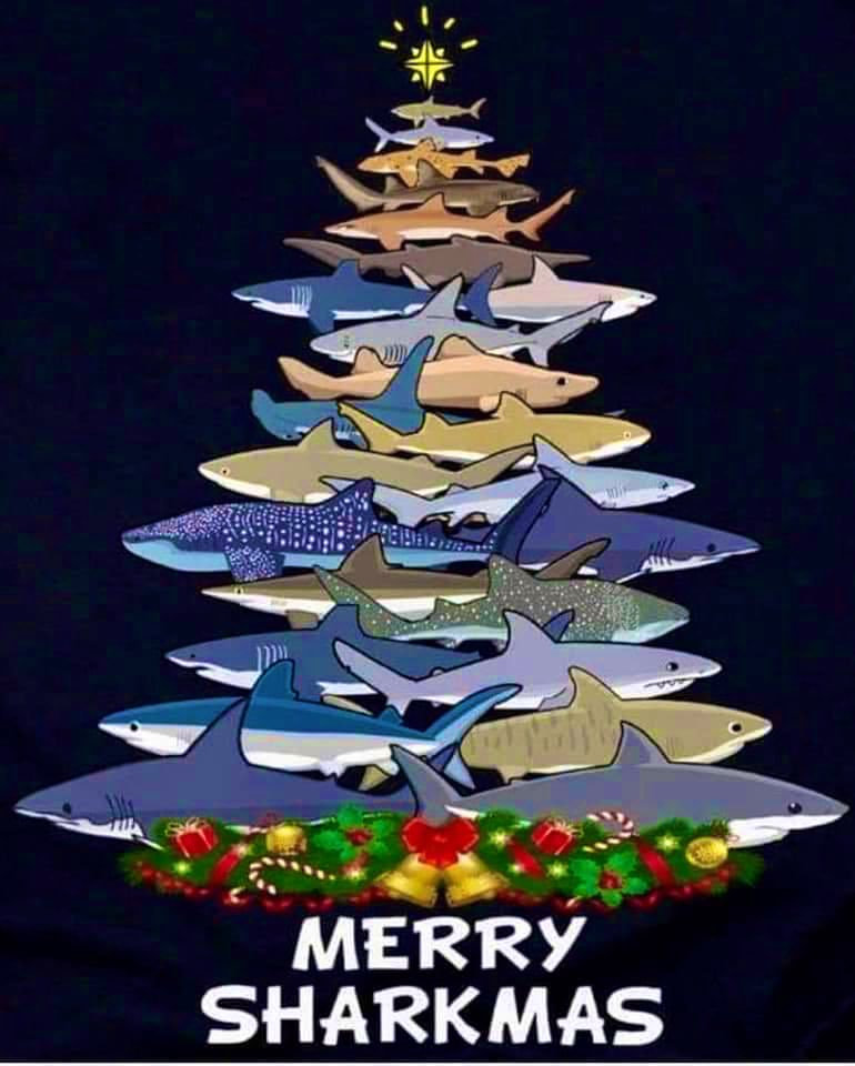 TheLegacyofLAW's tweet photo. Merry Everything and a Sharky New Year!π§πΏββοΈπ€π¦
#thelegacyoflaw #legacyoflaw
#theblackmermaid #blackmermaids
#blackgirlsswim
#blackgirlsswimtoo
#blackgirlsscuba
#blackgirlsscubadive
#melaninmermaids
#diversityinswimming
#padi #paditv #padimermaid
#ssi #divelife #divelove https://t.co/fD2KRrdrCi