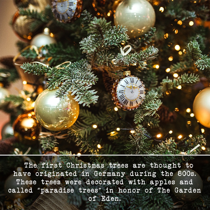 SimpleHistoryYT's tweet photo. Did you know this Christmas history fact?
https://t.co/tSEMby4Nzy used under CC BY 2.0
#didyouknow #facts #simplehistory #christmas https://t.co/kczcpeXdRK