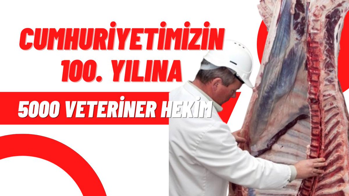 Bir gün ülkem hayvancılıkta hak ettiği yere gelecek ve biz veteriner hekimler bu filmin başrolü olacağız 
<a href="/RTErdogan/">Recep Tayyip Erdoğan</a> <a href="/fuatoktay/">Fuat Oktay</a> <a href="/VahitKirisci/">Prof.Dr.Vahit Kirişci</a> <a href="/NureddinNebati/">Dr.Nureddin NEBATİ🇹🇷</a> <a href="/_cevdetyilmaz/">Cevdet Yılmaz</a> 
#Yüzüncüyıla5binVetHek