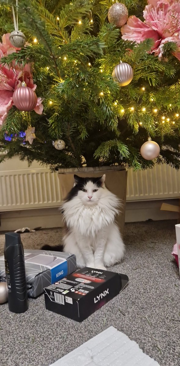 Lewis Boreham (@lewiboreham) on Twitter photo 