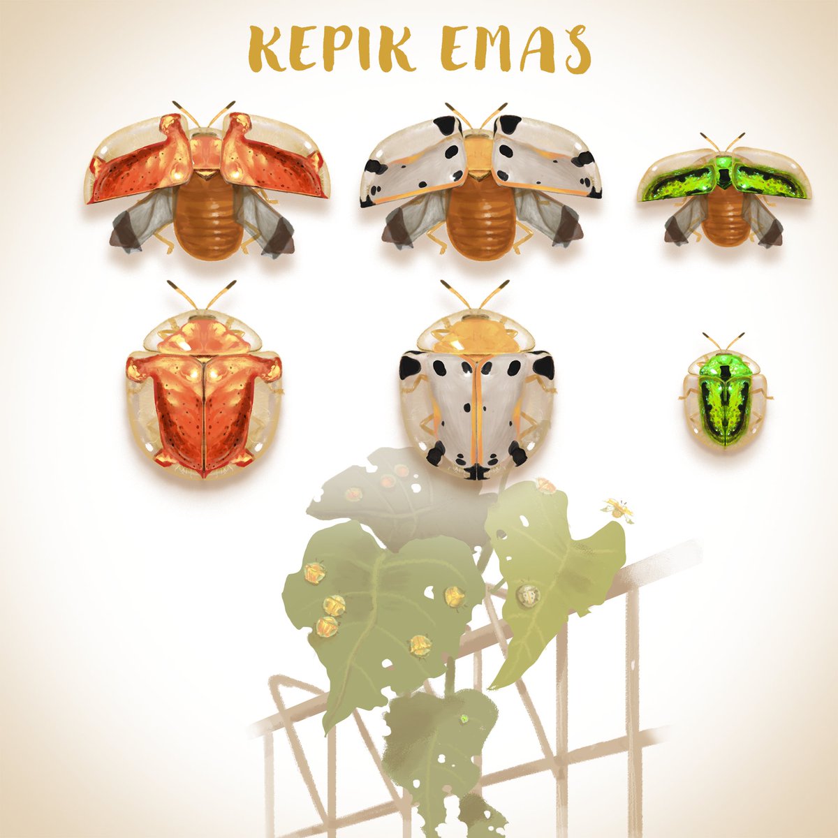 aldrich_kia's tweet photo. Tis the season to feel nostalgic
these are Kepik emas that i used to spot a lot in my neighborhood, underside vining leaves riddled with holes
i have not seen them for 5+ years now, even the last time i visited home
#InverteFest #kepikemas #kepik #indonesia #tortoisebeetle https://t.co/c8VPOz9VCX