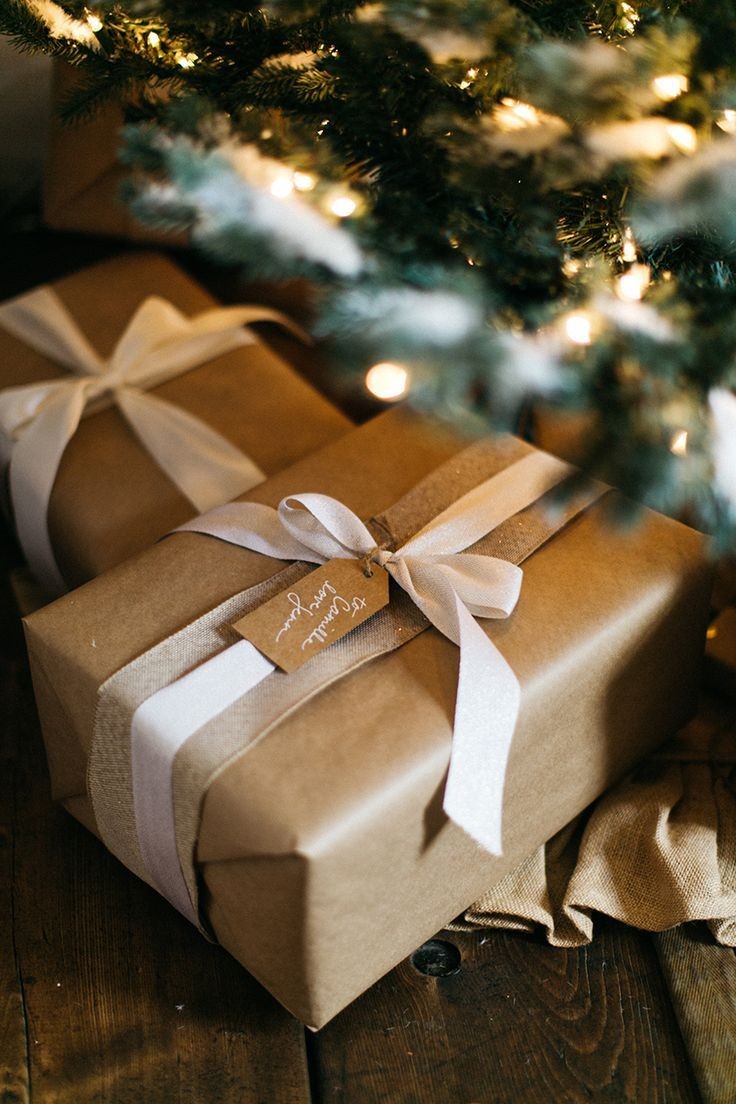 TM_Ours's tweet photo. ╭┈┈┈┈┈┈┈﹒ׂׂૢ་༘࿐ೢִֶָ
┊You just received a package!! 
—

( 🐻📦 )
Sender: Archer
Receiver : @EROTICOSMO

—
Merry Christmas!
╰┈┈┈┈┈┈┈┈ https://t.co/yZfmX5wQKY