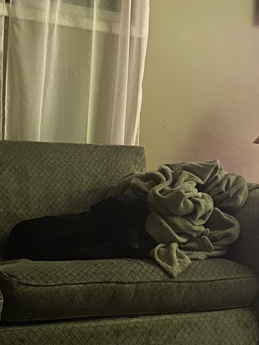 Jacci Dorran Holowath tweet media