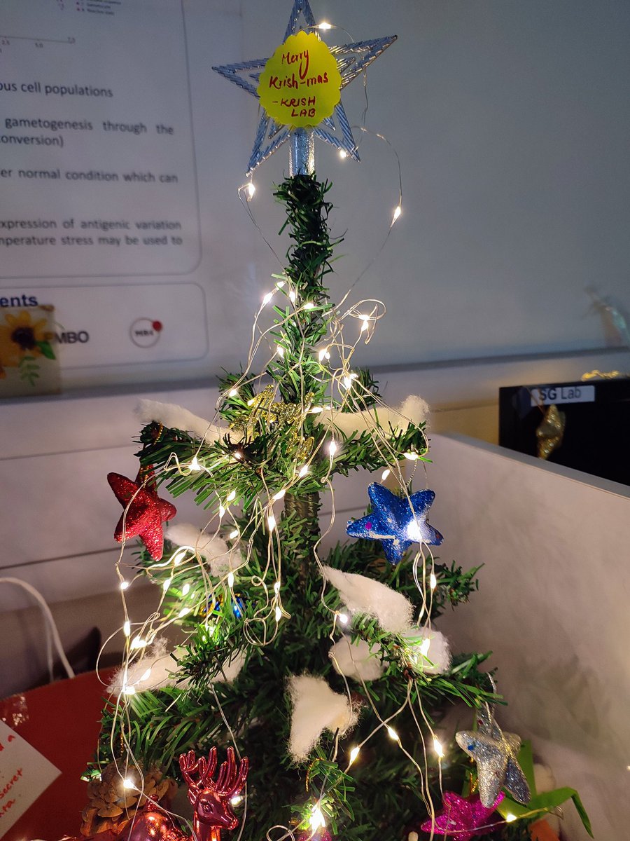 Merry Christmas from the lab 🔬🎅