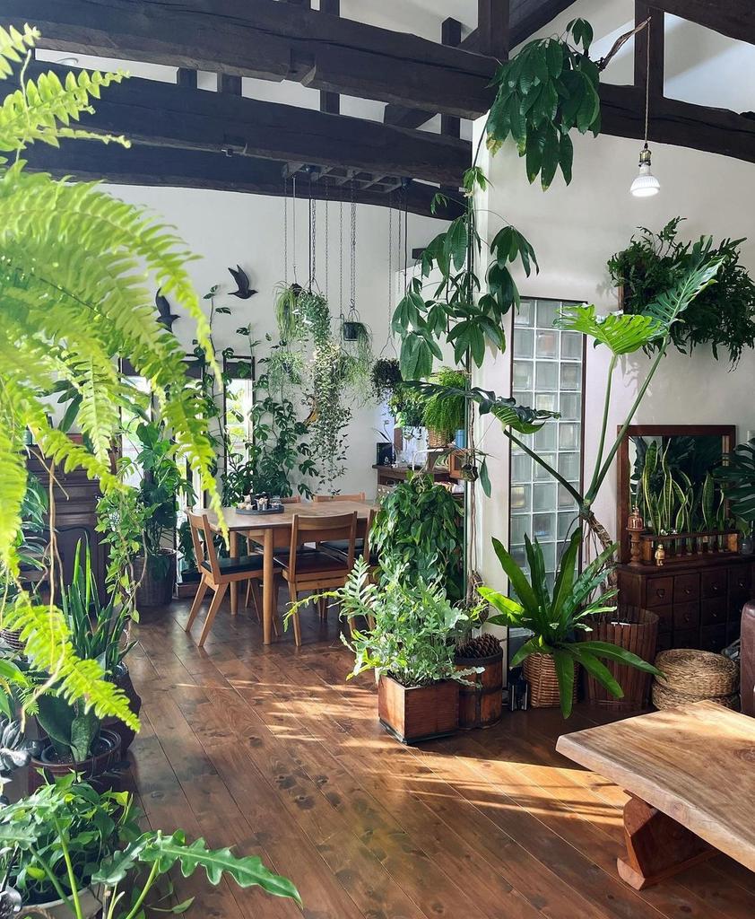 Surrounded by peace 🌿