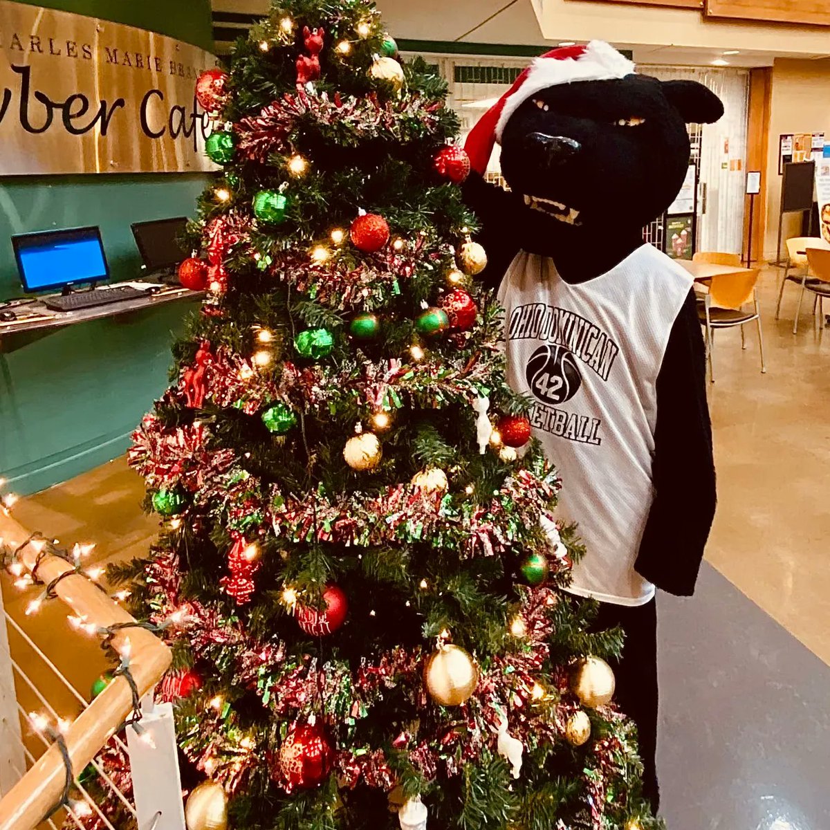 Merry Christmas and Happy Paw-lidays from the Panther Family! 🎄
