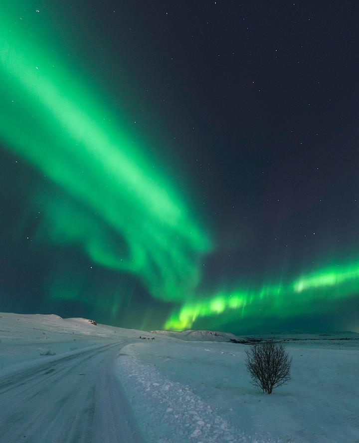 Guide to Iceland tweet media