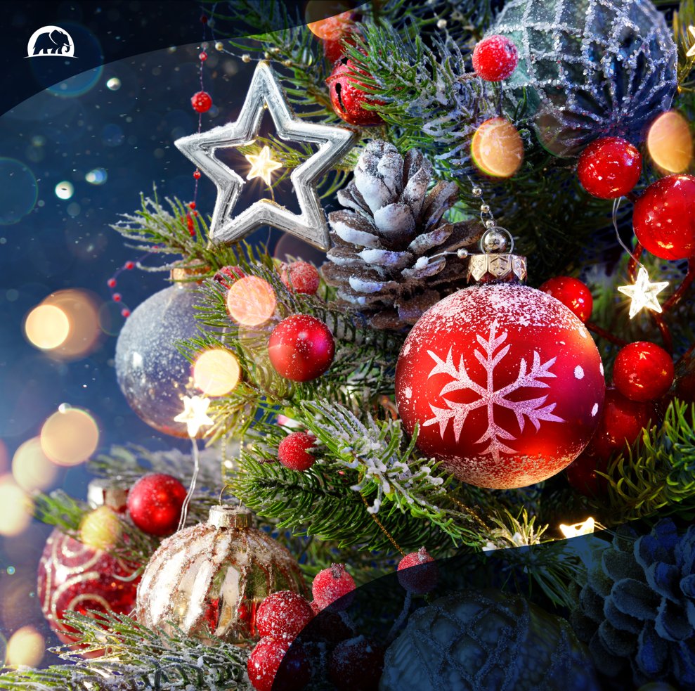 ElephantAutoIns's tweet image. From all of us at Elephant, we hope you have a safe and happy Christmas!