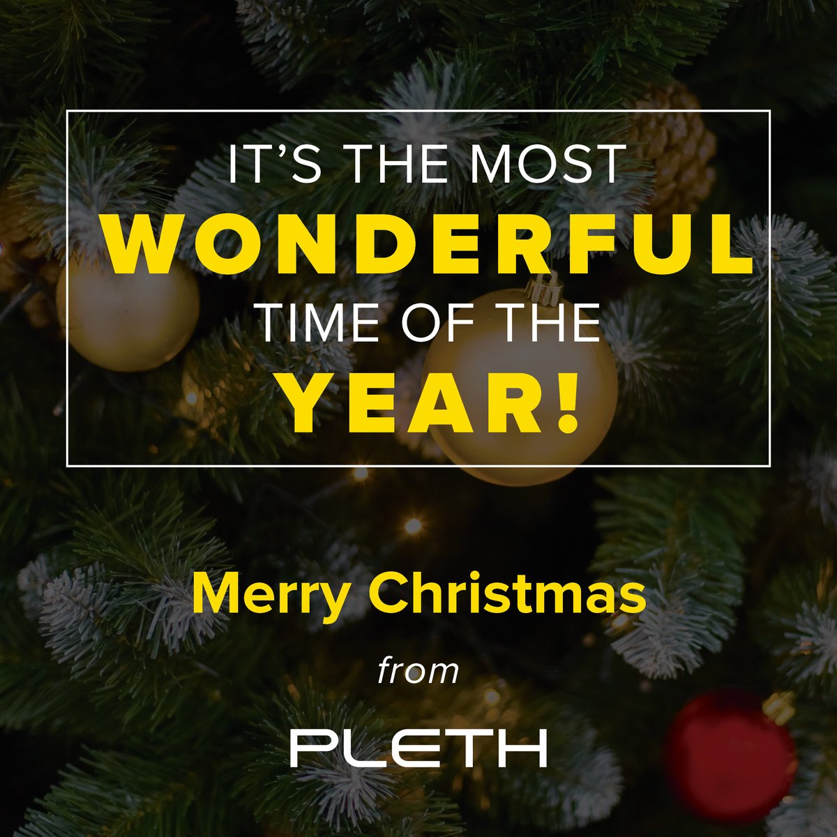 Pleth, LLC tweet media