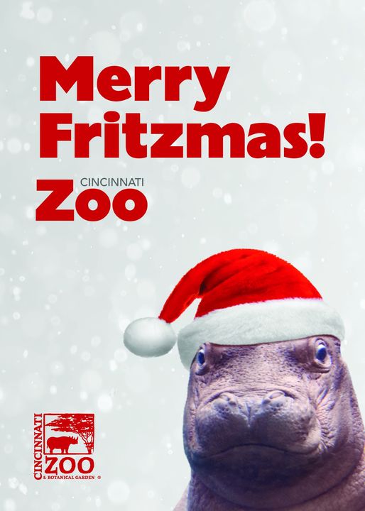 Happy Holidays! 🎅🦛🎄