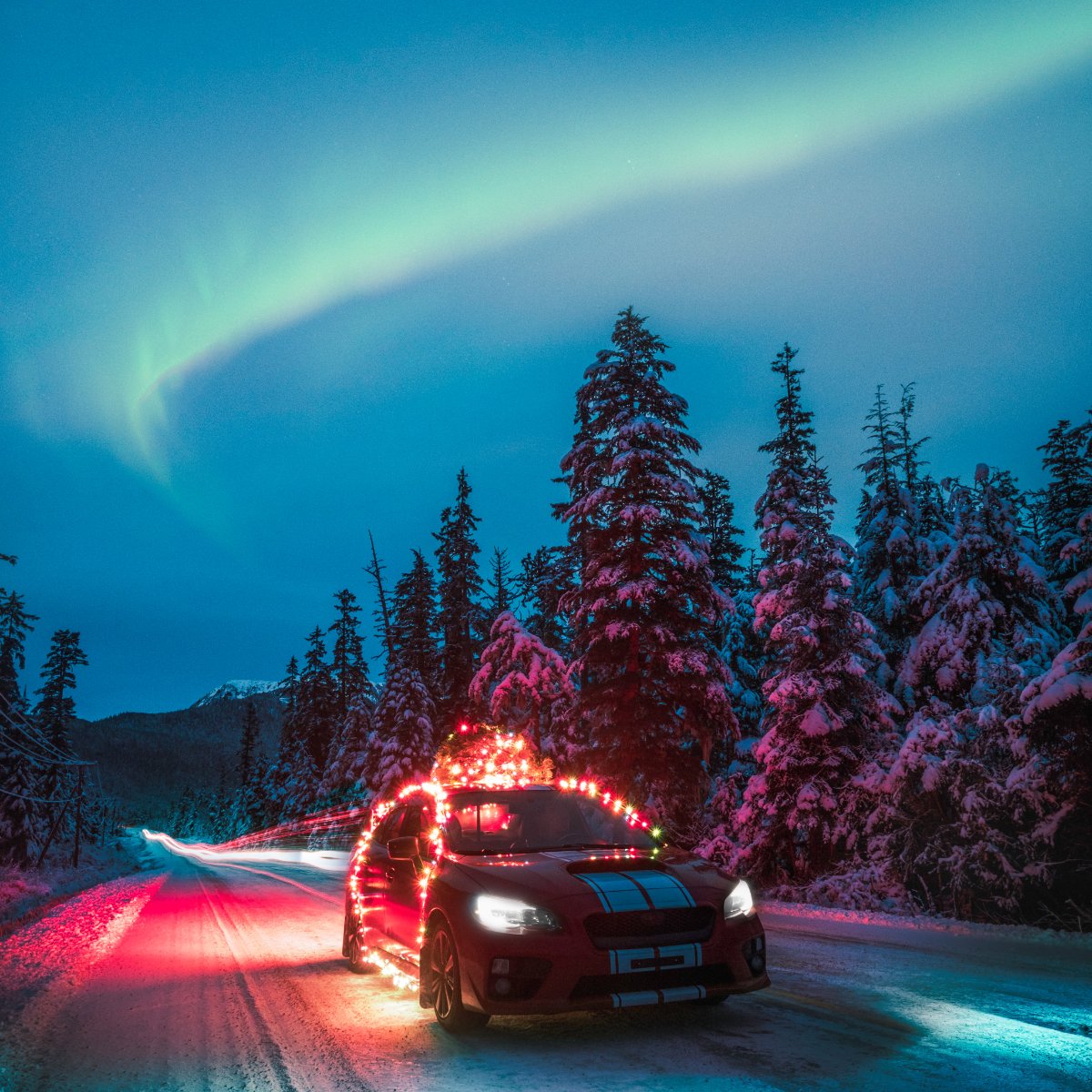 ShelleysAutoTO's tweet photo. #ShellysPrecisionAutoCenter wishes you and your family a happy holiday. We hope that you stay safe, happy, and healthy this season. 🎄🚗 https://t.co/zFifpddliB