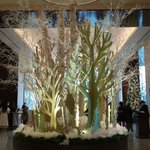 ツイートに含まれる画像