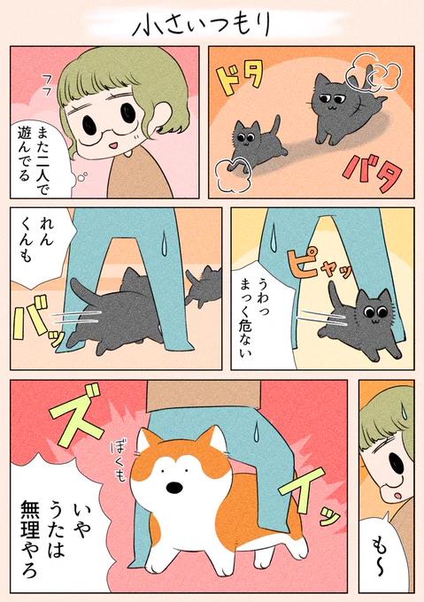 「小さいつもり」
れんとまくの遊びに参加したいうたです(笑)

#漫画が読めるハッシュタグ
#日常
#犬猫 