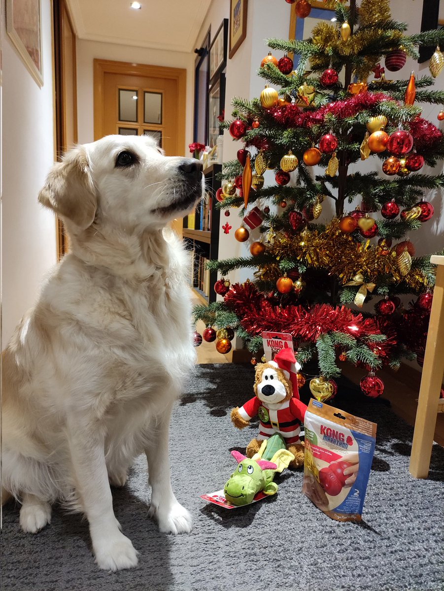 kalamerry_gr's tweet photo. 🦌🛷🎁🎅... Feliz Navidad!! https://t.co/NmgSryRXpX