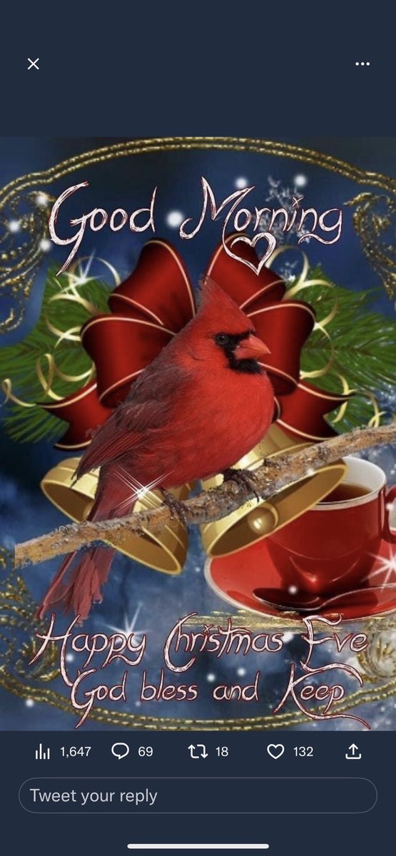 AmFirstMAGA's tweet image. Merry Christmas Morning Twitter World!! Hope y’al are safe, warm and with family and friends… Still a little nippy here in NE Oklahoma at 9 degrees but there is no wind so it feels competitively nice.