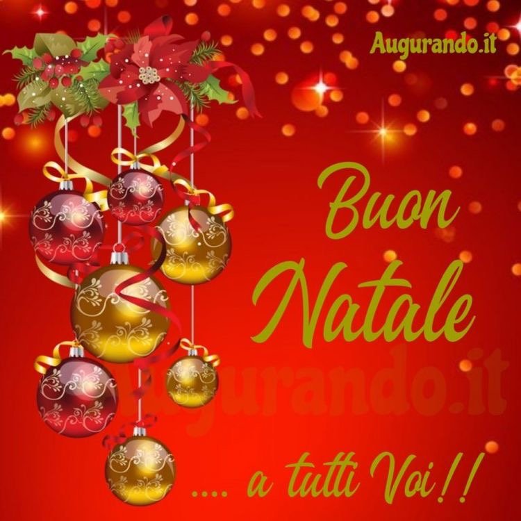 RTrl13's tweet photo. @SteveNormanReal @Stereoblonde Auguri Buon Natale!!! https://t.co/HJo1vn42rh