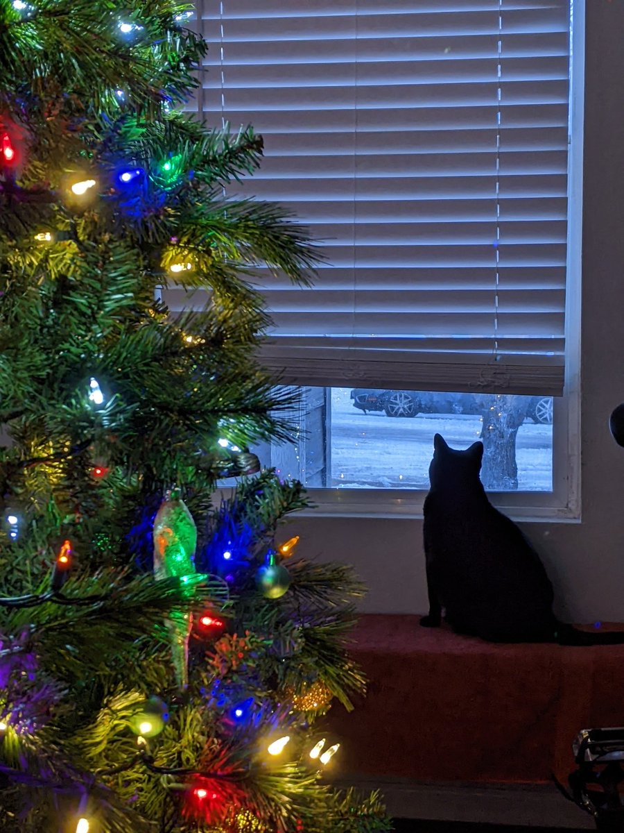atlur's tweet photo. Merry Christmas and happy holidays https://t.co/YNzpmQ6XeI