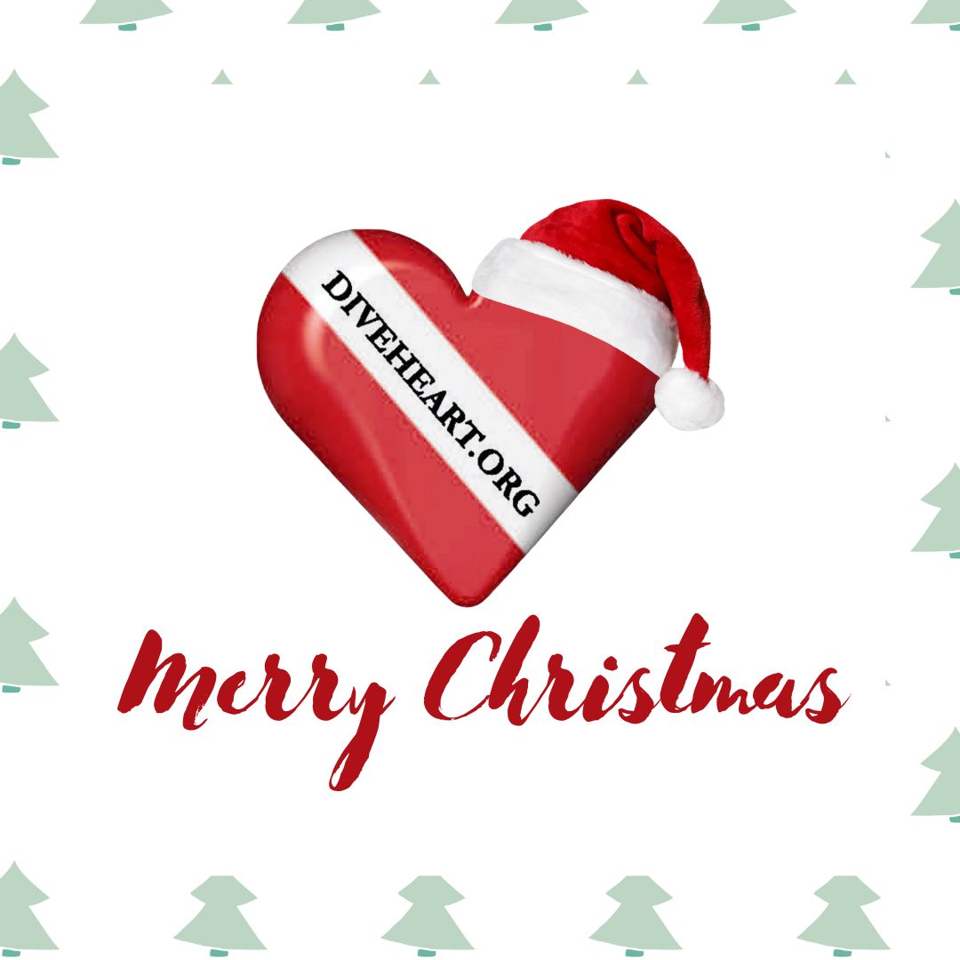 Merry Christmas to You and Yours from Diveheart! ❤️

#merrychristmas #scubadiving #adaptivediving #nonprofit #disabilityawareness #disabilityvisibility #adaptivesports #disabilitysuport #disabilityadvocate