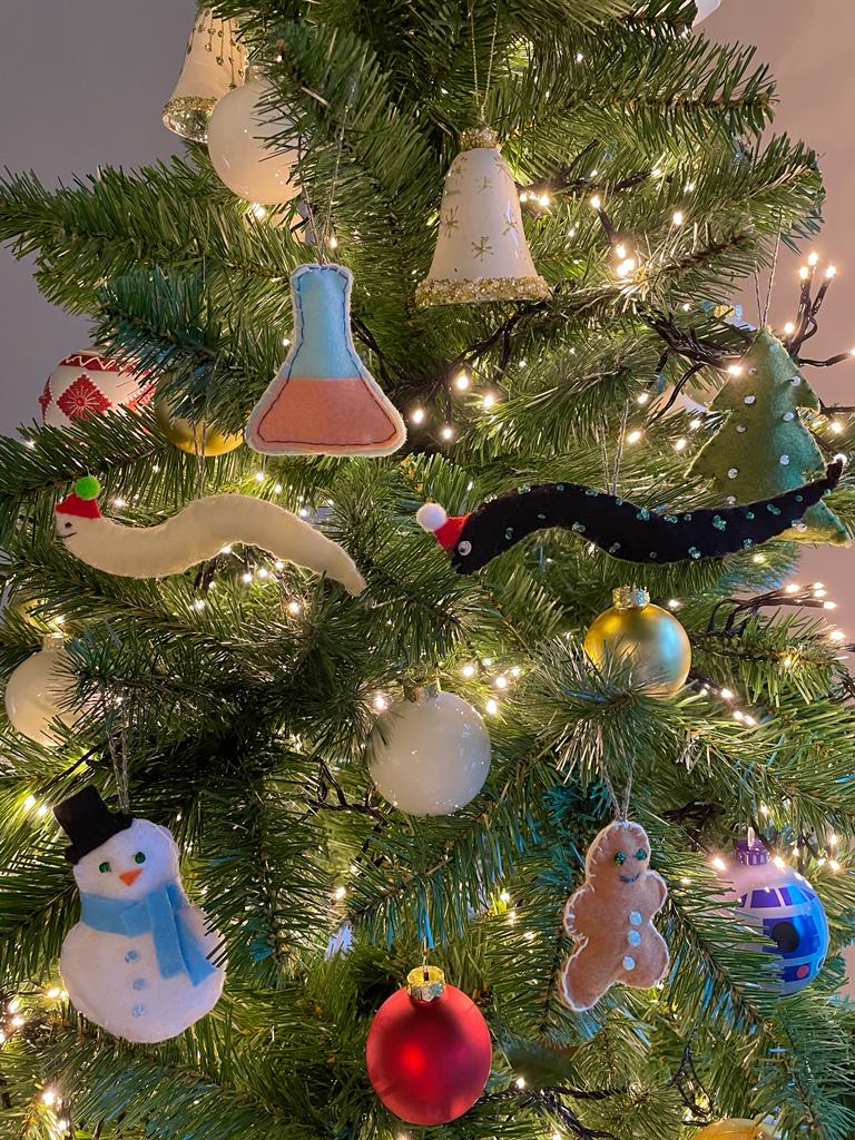 Nollen Lab tweet media