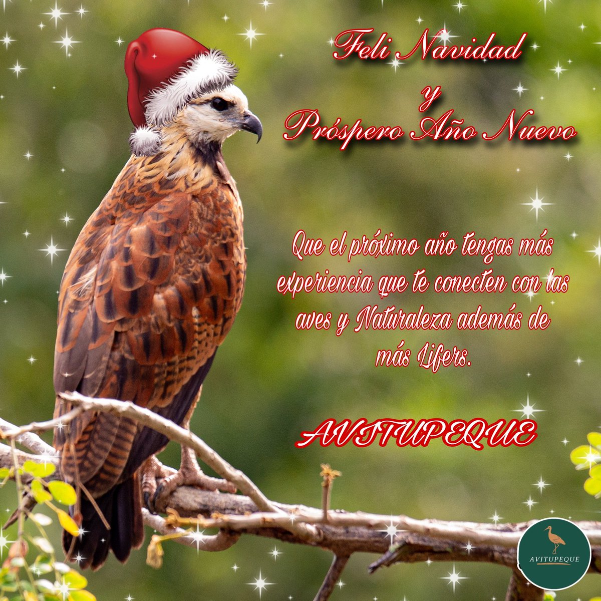 avitupeque's tweet photo. Feliz Navidad y un fantástico próspero año nuevo, vive una nueva experiencia en nuestro Distrito,Barrancabermeja-Santander, aves por descubrir y retratar.
#birdingdistrict💛🖤 
@AudubonAmericas
@alcaldiabarranc @alfonsoeljach @CAS_SANTANDER @MinAmbienteCo https://t.co/6zz5cLzpnL