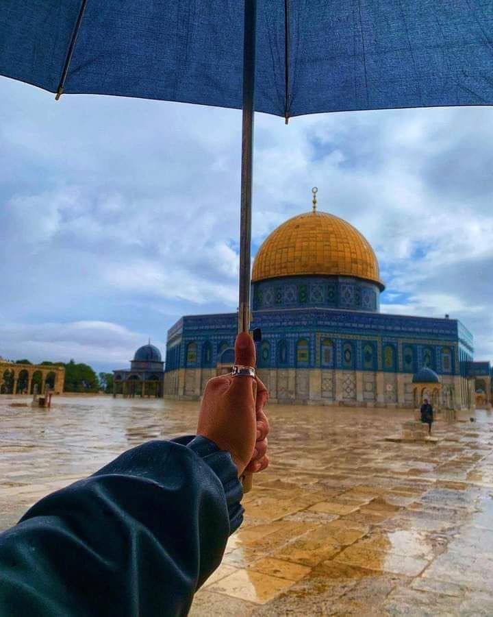 - 
هُنا يُختصَر الجَمال.. وأيُّ جمَال.💚
#الأقصى_في_خطر