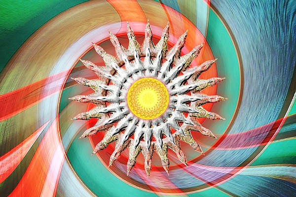 CustomHDman's tweet image. New artwork for sale! - "Kiwi" - fineartamerica.com/featured/kiwi-… @shoppixels