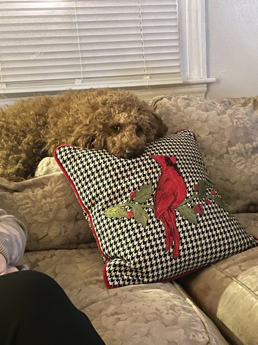 Merry Christmas Everybody! ^.^ https://t.co/pw3jvKAmkY<a href="/tag/bostonfanexpo"class="tags"><span>#bostonfanexpo</span></a>