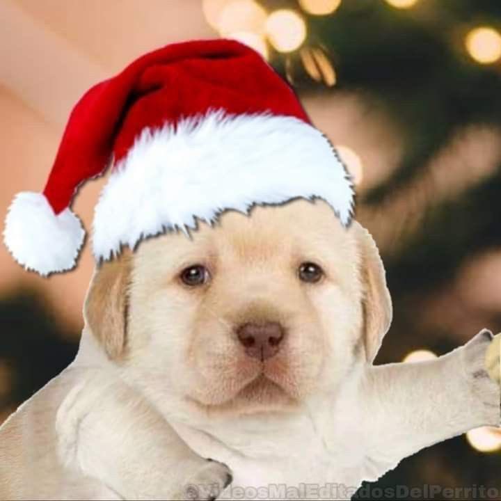 นนท์ '🦦 tweet media