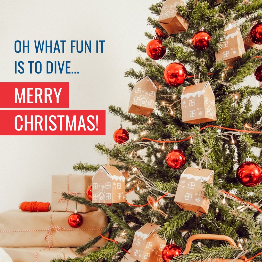 FloatnFlag's tweet image. This Christmas, may your family be functional and all your batteries be included!!! 😂 

But seriously, wishing you a Christmas filled with wonderful surprises, treats and nonstop laughter. ☃️🎄🌟