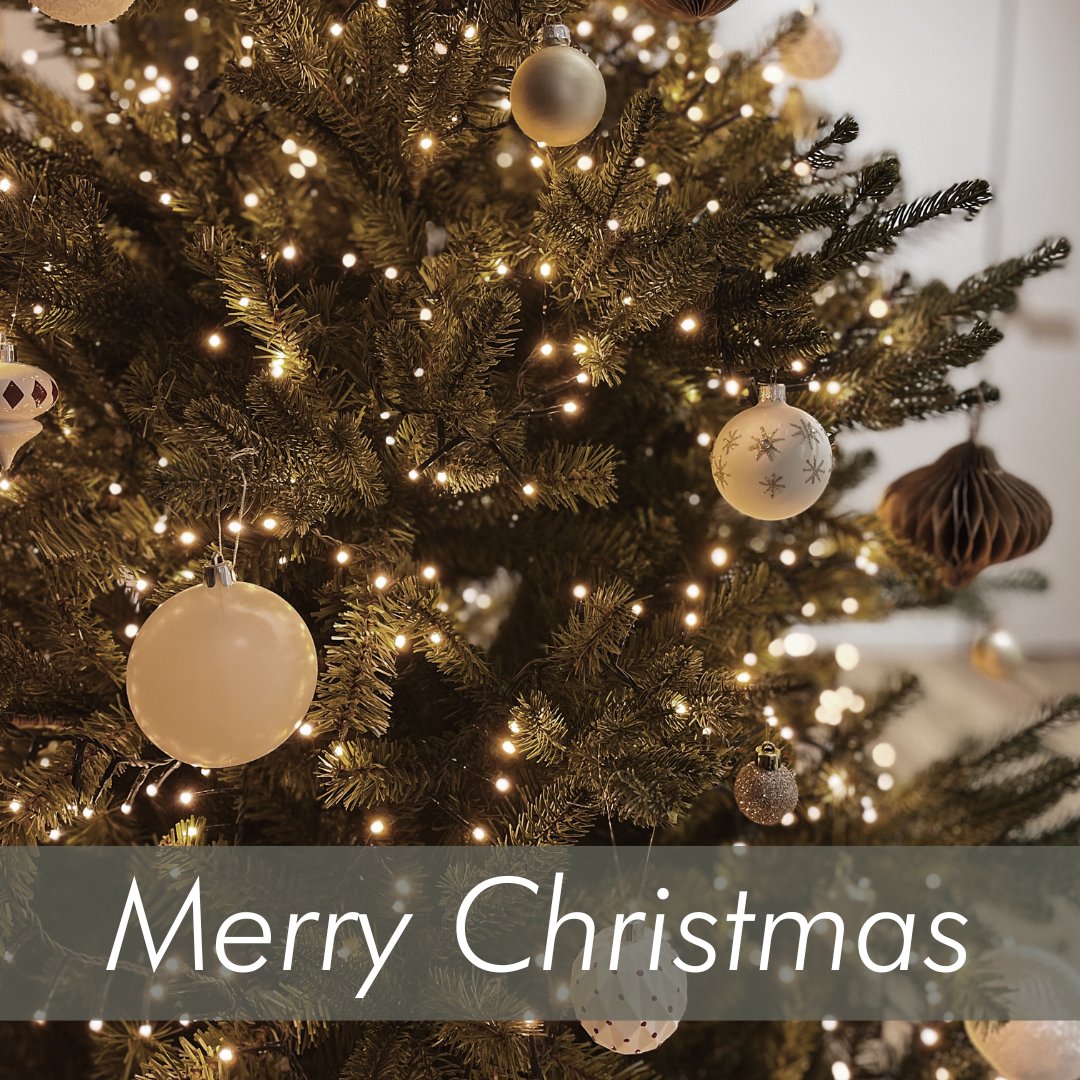 eavesbyavalon's tweet photo. Merry Christmas to you and the ones you love! https://t.co/9O2MW6q3DB