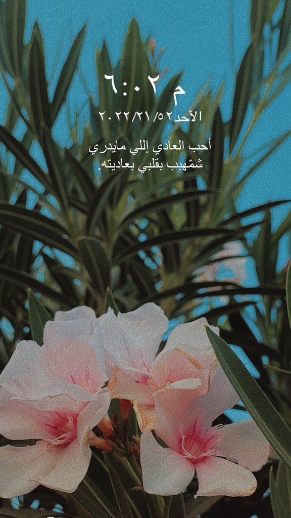 #أحب العادي إللي مايدري شمّهبب بقلبي بعاديته.😴💜