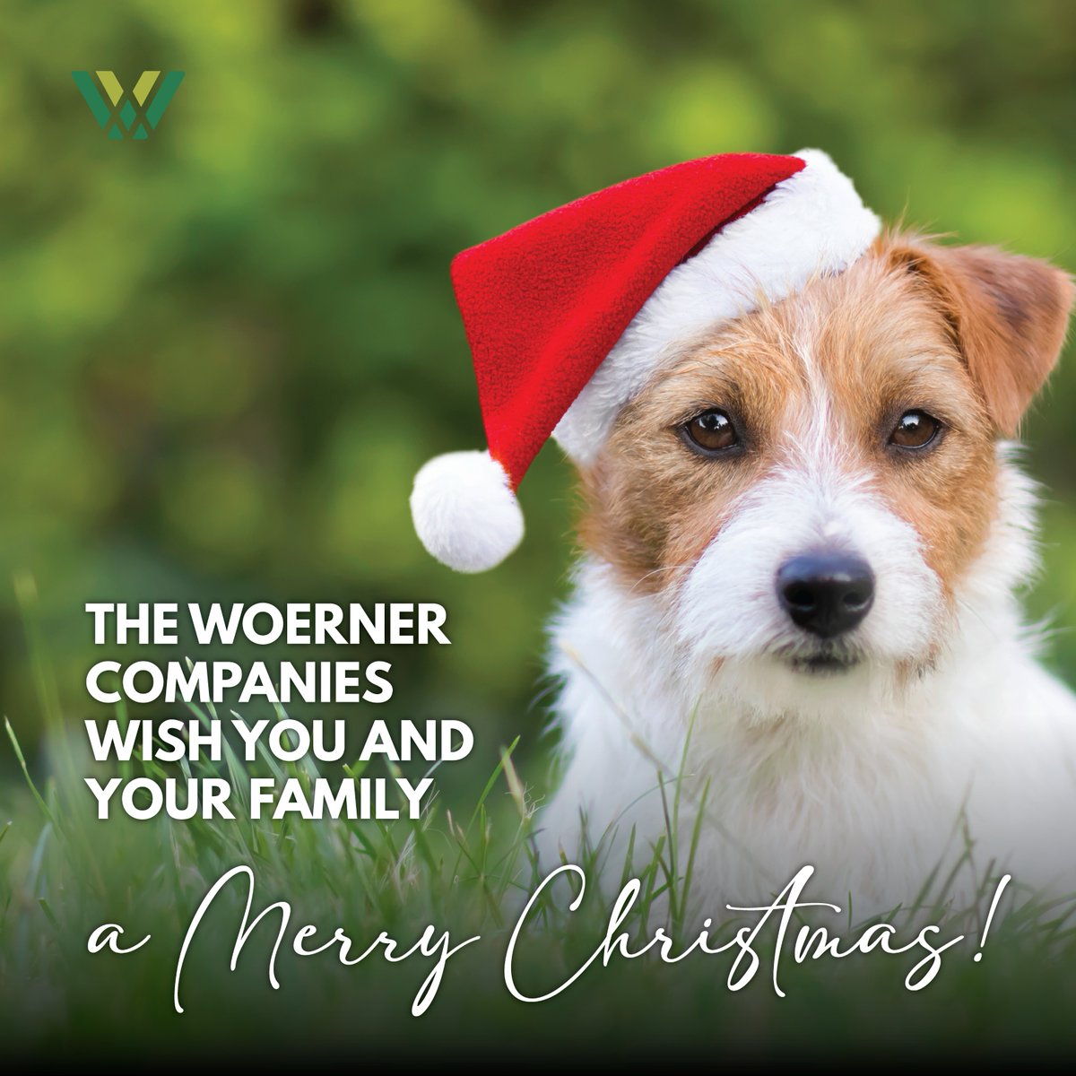 WoernerLS's tweet image. Merry Christmas! 🎄⭐️🎁 We're wishing you all a restful, merry, and bright holiday today.