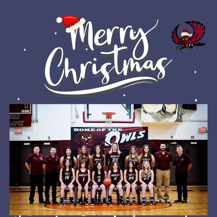Merry Christmas from our Lady Owls Family to you and your family!!!
