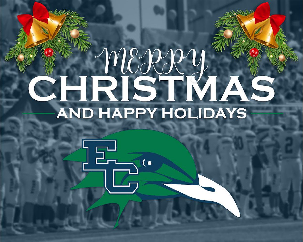 Merry Christmas everyone!! 🐦🎄🏈