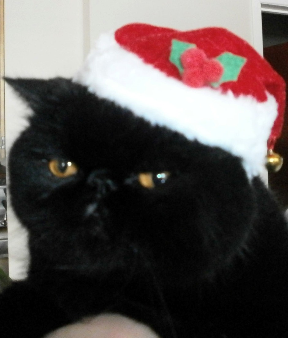 mpaquin2's tweet image. Joyeux Noël