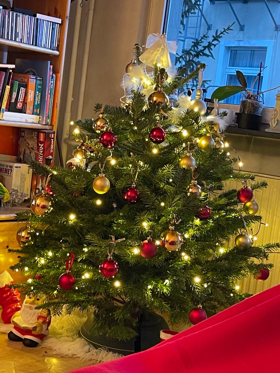 MiaKilchenstein's tweet photo. @LiaDeSousa1 Feliz natal aqui de Frankfurt https://t.co/JiZXIZPEdH